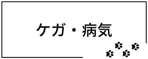ケガや病気のときのペットシッター