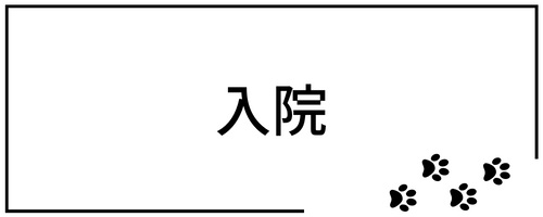 入院時のペットシッター
