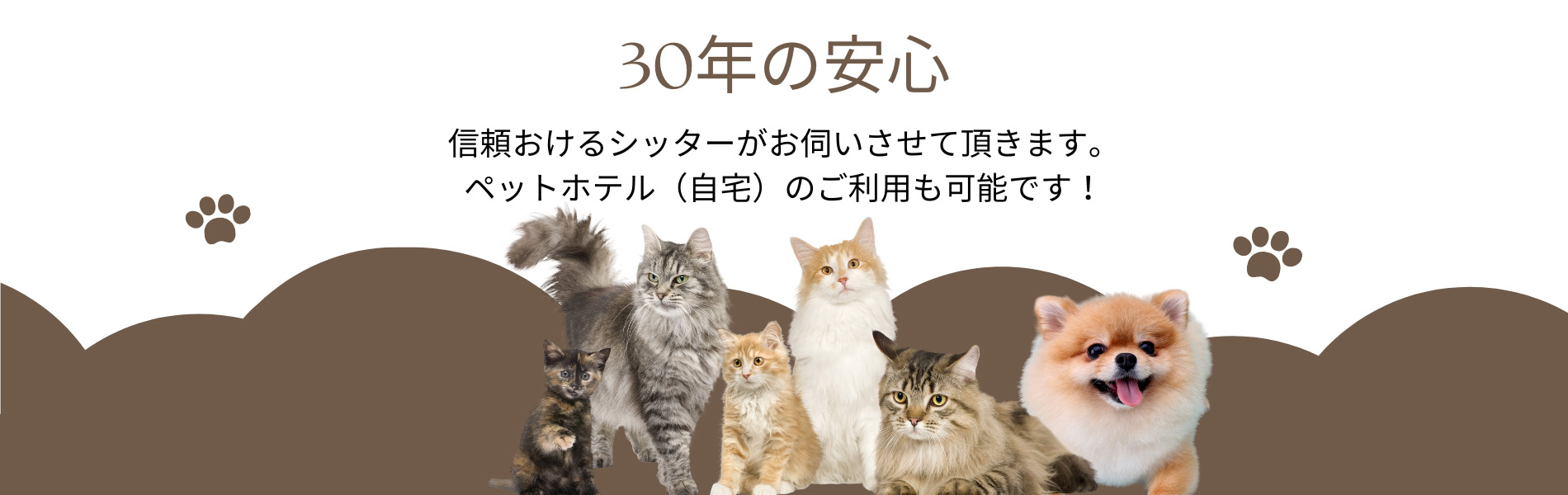 ペットシッター神戸市西区