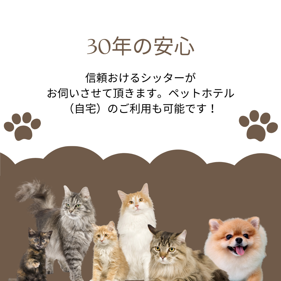 ペットシッター神戸市西区